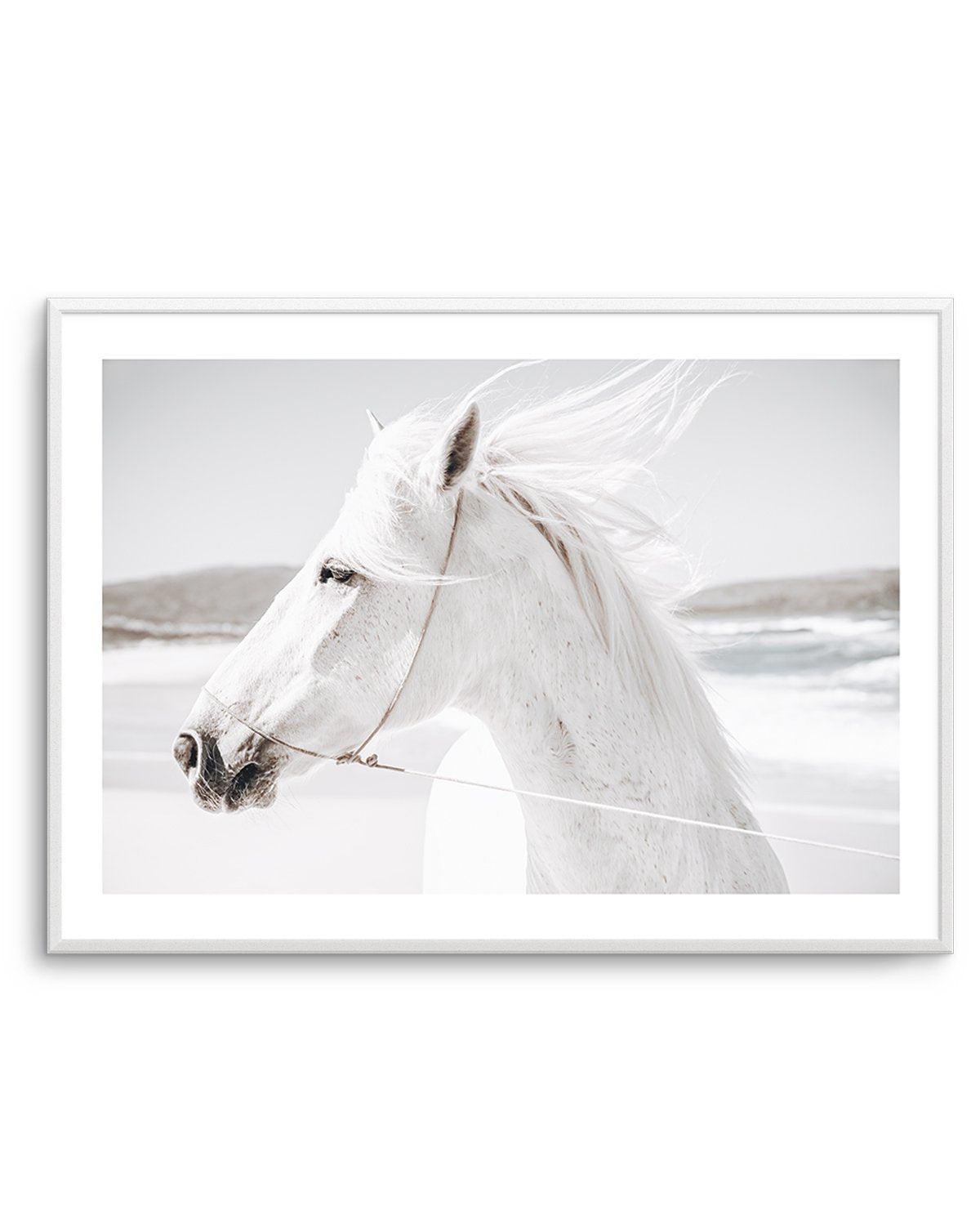 White Horse | Down in Mexico Art Print-PRINT-Olive et Oriel-Olive et Oriel-A5 | 5.8" x 8.3" | 14.8 x 21cm-Unframed Art Print-With White Border-Buy-Australian-Art-Prints-Online-with-Olive-et-Oriel-Your-Artwork-Specialists-Austrailia-Decorate-With-Coastal-Photo-Wall-Art-Prints-From-Our-Beach-House-Artwork-Collection-Fine-Poster-and-Framed-Artwork