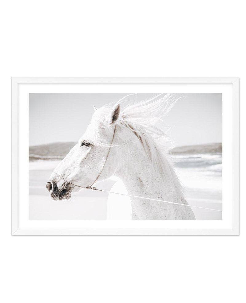 White Horse | Down in Mexico Art Print-PRINT-Olive et Oriel-Olive et Oriel-A5 | 5.8" x 8.3" | 14.8 x 21cm-White-With White Border-Buy-Australian-Art-Prints-Online-with-Olive-et-Oriel-Your-Artwork-Specialists-Austrailia-Decorate-With-Coastal-Photo-Wall-Art-Prints-From-Our-Beach-House-Artwork-Collection-Fine-Poster-and-Framed-Artwork
