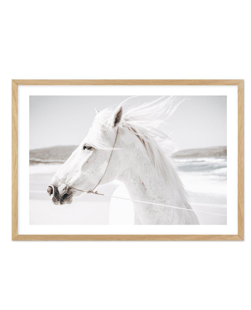 White Horse | Down in Mexico Art Print-PRINT-Olive et Oriel-Olive et Oriel-A5 | 5.8" x 8.3" | 14.8 x 21cm-Oak-With White Border-Buy-Australian-Art-Prints-Online-with-Olive-et-Oriel-Your-Artwork-Specialists-Austrailia-Decorate-With-Coastal-Photo-Wall-Art-Prints-From-Our-Beach-House-Artwork-Collection-Fine-Poster-and-Framed-Artwork