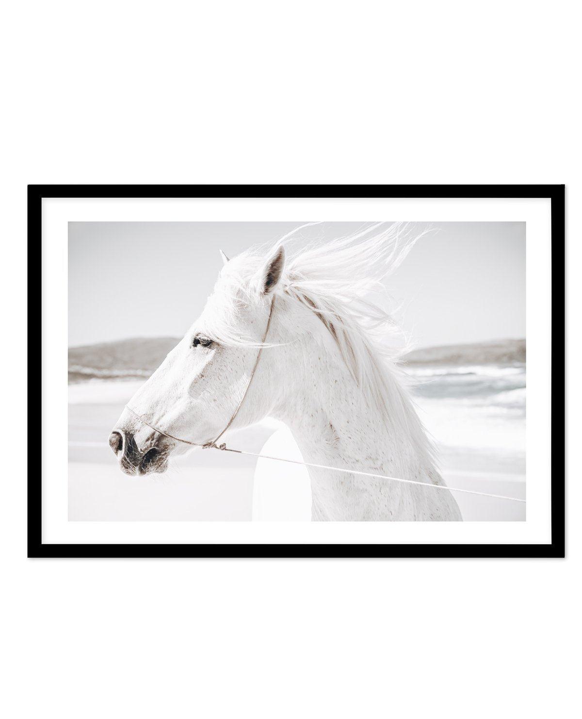 White Horse | Down in Mexico Art Print-PRINT-Olive et Oriel-Olive et Oriel-A5 | 5.8" x 8.3" | 14.8 x 21cm-Black-With White Border-Buy-Australian-Art-Prints-Online-with-Olive-et-Oriel-Your-Artwork-Specialists-Austrailia-Decorate-With-Coastal-Photo-Wall-Art-Prints-From-Our-Beach-House-Artwork-Collection-Fine-Poster-and-Framed-Artwork