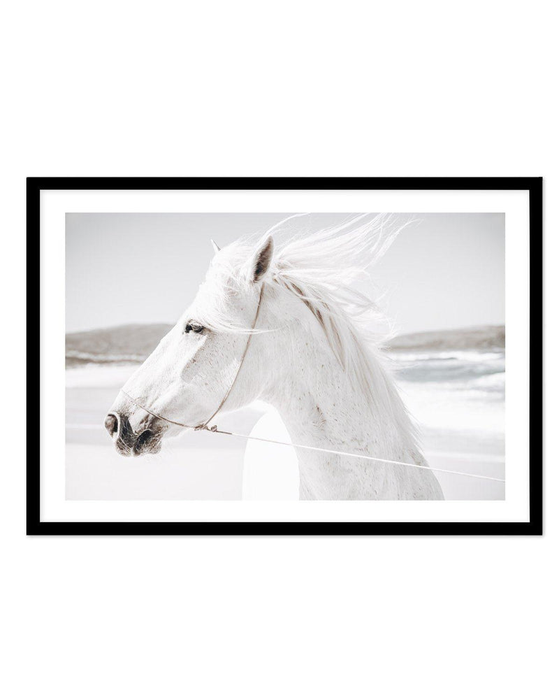 White Horse | Down in Mexico Art Print-PRINT-Olive et Oriel-Olive et Oriel-A5 | 5.8" x 8.3" | 14.8 x 21cm-Black-With White Border-Buy-Australian-Art-Prints-Online-with-Olive-et-Oriel-Your-Artwork-Specialists-Austrailia-Decorate-With-Coastal-Photo-Wall-Art-Prints-From-Our-Beach-House-Artwork-Collection-Fine-Poster-and-Framed-Artwork
