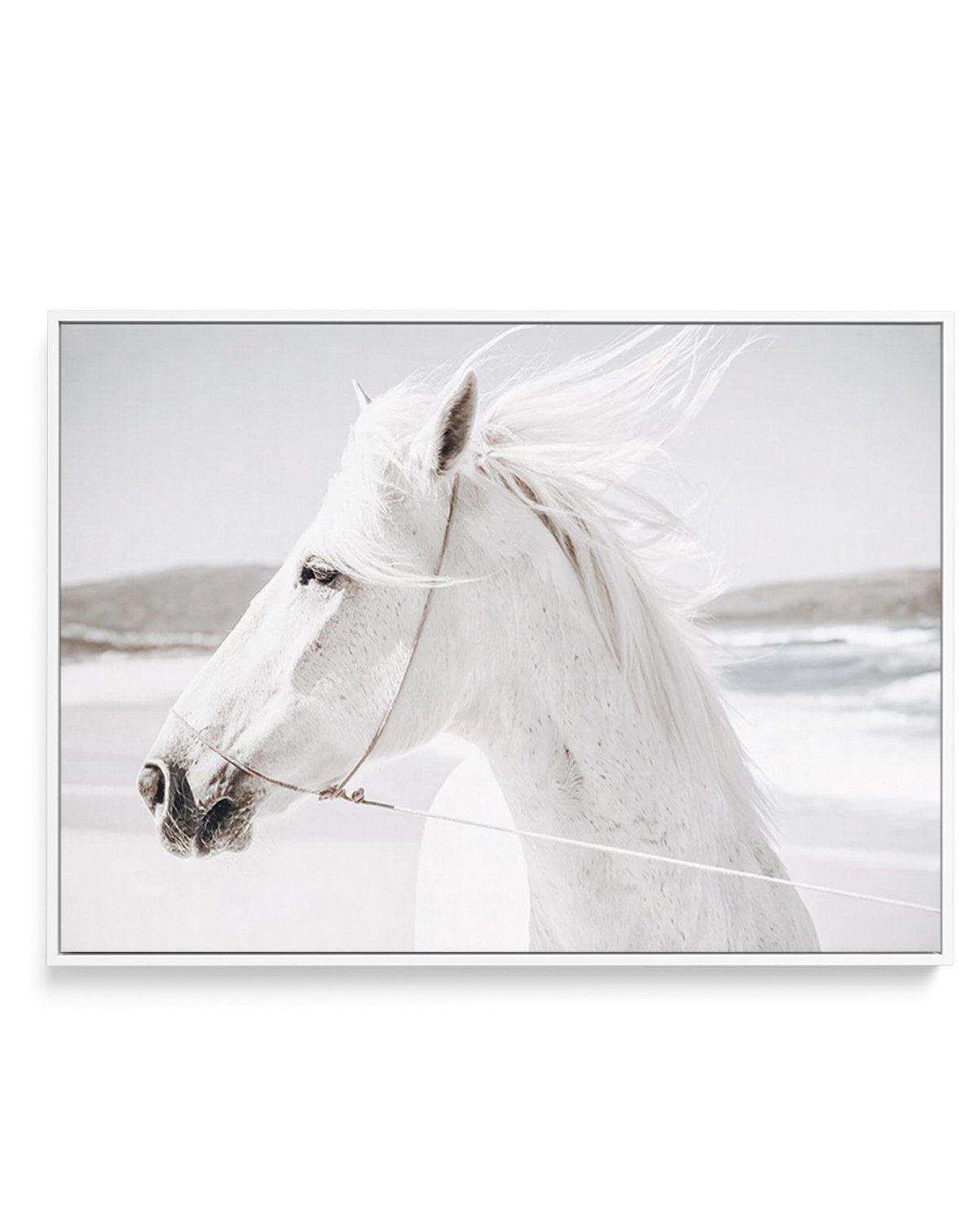 White Horse | Down in Mexico | Framed Canvas-CANVAS-You can shop wall art online with Olive et Oriel for everything from abstract art to fun kids wall art. Our beautiful modern art prints and canvas art are available from large canvas prints to wall art paintings and our proudly Australian artwork collection offers only the highest quality framed large wall art and canvas art Australia - You can buy fashion photography prints or Hampton print posters and paintings on canvas from Olive et Oriel a