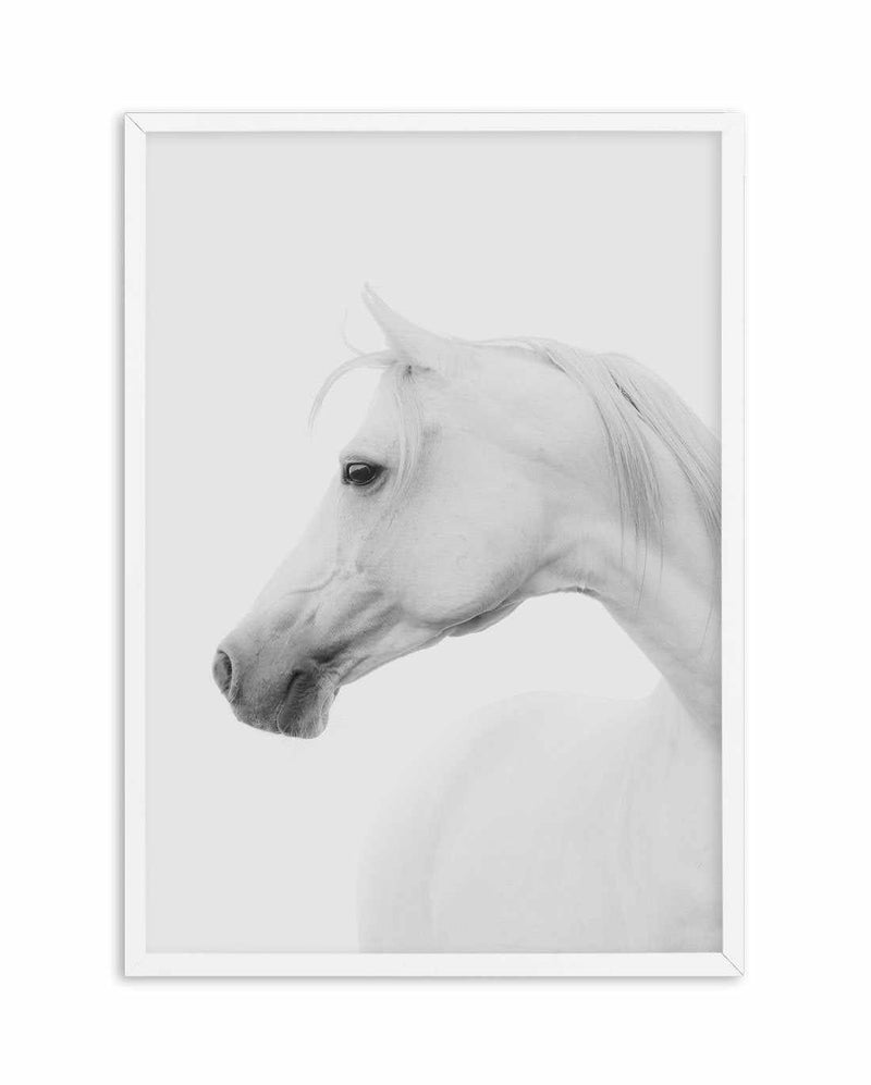 White Horse I Art Print-PRINT-Olive et Oriel-Olive et Oriel-A5 | 5.8" x 8.3" | 14.8 x 21cm-White-With White Border-Buy-Australian-Art-Prints-Online-with-Olive-et-Oriel-Your-Artwork-Specialists-Austrailia-Decorate-With-Coastal-Photo-Wall-Art-Prints-From-Our-Beach-House-Artwork-Collection-Fine-Poster-and-Framed-Artwork