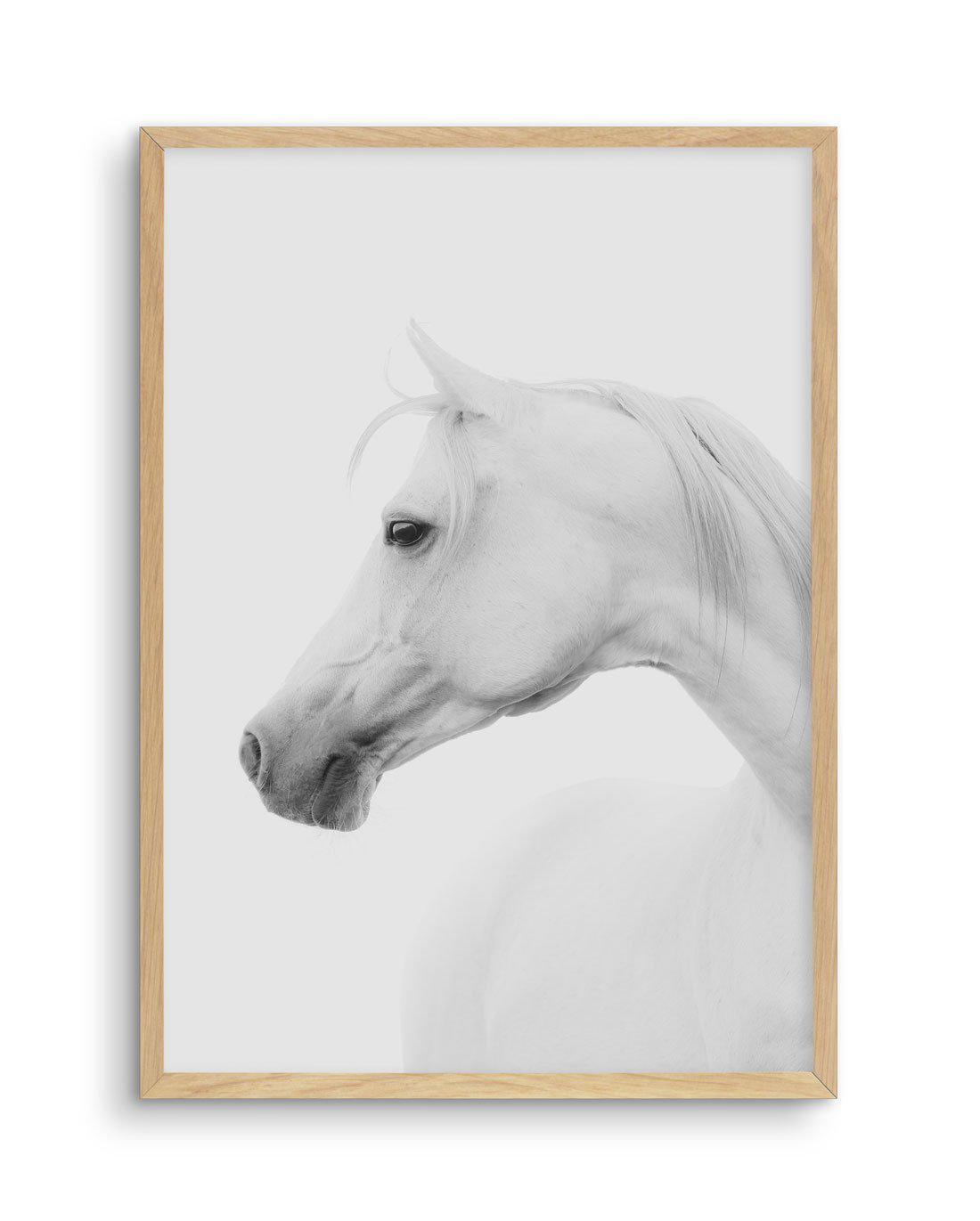 White Horse I Art Print-PRINT-Olive et Oriel-Olive et Oriel-A5 | 5.8" x 8.3" | 14.8 x 21cm-Oak-With White Border-Buy-Australian-Art-Prints-Online-with-Olive-et-Oriel-Your-Artwork-Specialists-Austrailia-Decorate-With-Coastal-Photo-Wall-Art-Prints-From-Our-Beach-House-Artwork-Collection-Fine-Poster-and-Framed-Artwork