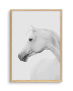 White Horse I Art Print-PRINT-Olive et Oriel-Olive et Oriel-A5 | 5.8" x 8.3" | 14.8 x 21cm-Oak-With White Border-Buy-Australian-Art-Prints-Online-with-Olive-et-Oriel-Your-Artwork-Specialists-Austrailia-Decorate-With-Coastal-Photo-Wall-Art-Prints-From-Our-Beach-House-Artwork-Collection-Fine-Poster-and-Framed-Artwork