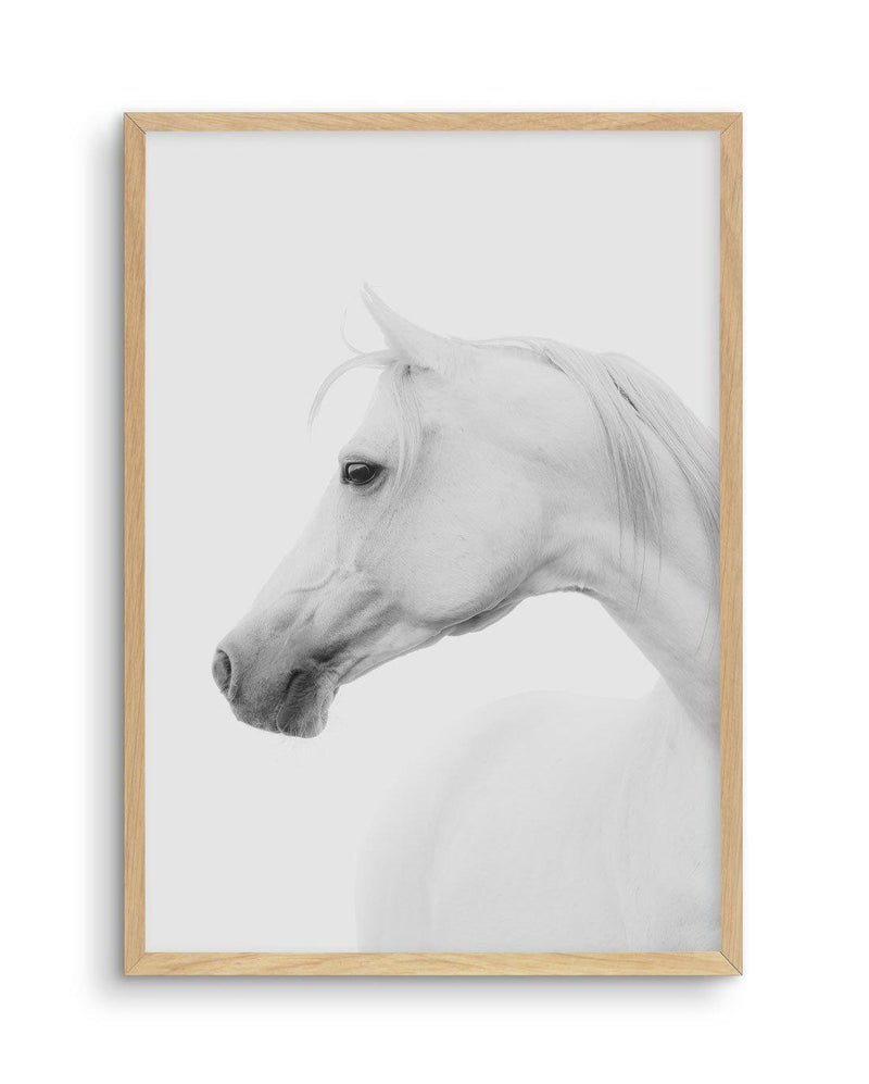 White Horse I Art Print-PRINT-Olive et Oriel-Olive et Oriel-A5 | 5.8" x 8.3" | 14.8 x 21cm-Oak-With White Border-Buy-Australian-Art-Prints-Online-with-Olive-et-Oriel-Your-Artwork-Specialists-Austrailia-Decorate-With-Coastal-Photo-Wall-Art-Prints-From-Our-Beach-House-Artwork-Collection-Fine-Poster-and-Framed-Artwork