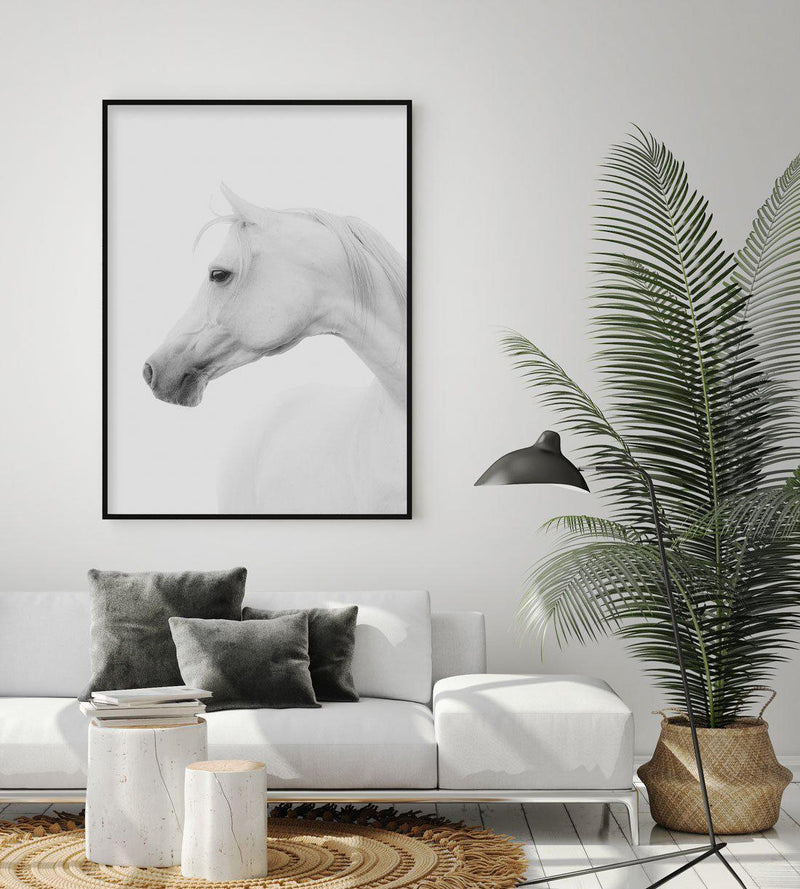 White Horse I Art Print-PRINT-Olive et Oriel-Olive et Oriel-Buy-Australian-Art-Prints-Online-with-Olive-et-Oriel-Your-Artwork-Specialists-Austrailia-Decorate-With-Coastal-Photo-Wall-Art-Prints-From-Our-Beach-House-Artwork-Collection-Fine-Poster-and-Framed-Artwork