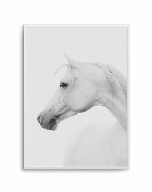 White Horse I Art Print-PRINT-Olive et Oriel-Olive et Oriel-A5 | 5.8" x 8.3" | 14.8 x 21cm-Unframed Art Print-With White Border-Buy-Australian-Art-Prints-Online-with-Olive-et-Oriel-Your-Artwork-Specialists-Austrailia-Decorate-With-Coastal-Photo-Wall-Art-Prints-From-Our-Beach-House-Artwork-Collection-Fine-Poster-and-Framed-Artwork