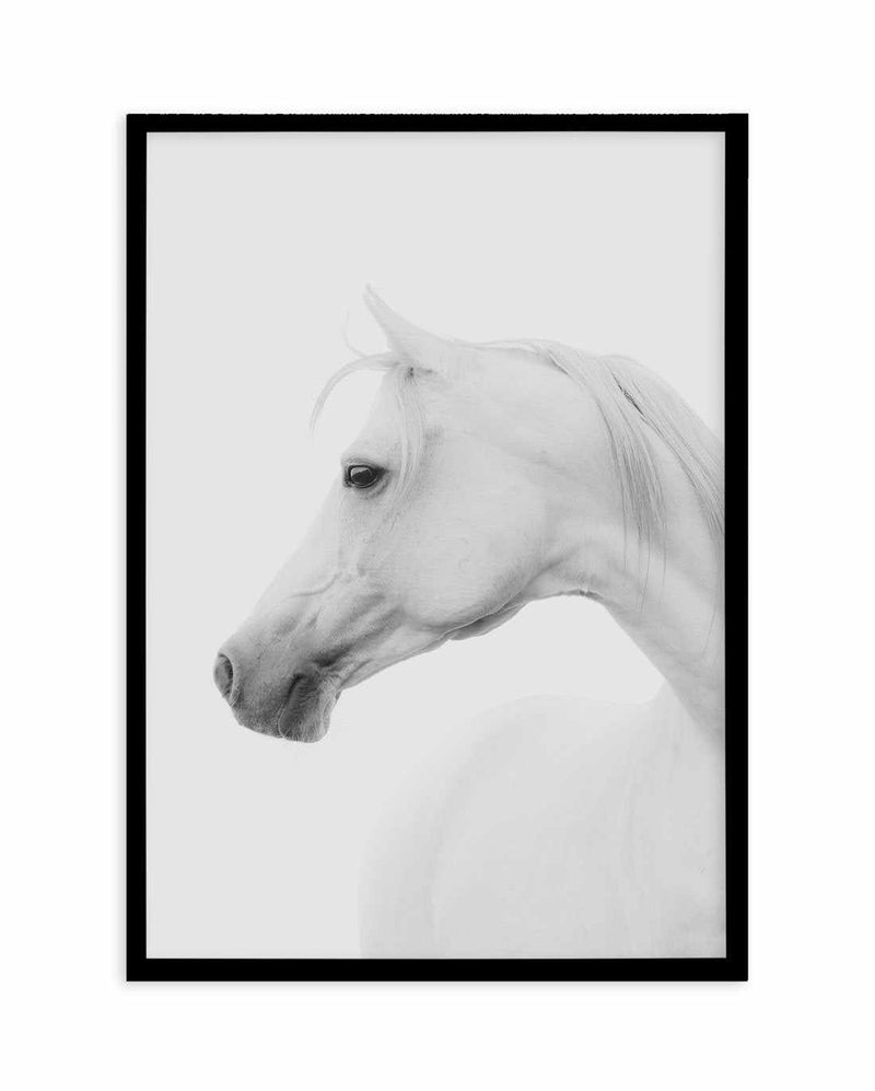 White Horse I Art Print-PRINT-Olive et Oriel-Olive et Oriel-A5 | 5.8" x 8.3" | 14.8 x 21cm-Black-With White Border-Buy-Australian-Art-Prints-Online-with-Olive-et-Oriel-Your-Artwork-Specialists-Austrailia-Decorate-With-Coastal-Photo-Wall-Art-Prints-From-Our-Beach-House-Artwork-Collection-Fine-Poster-and-Framed-Artwork