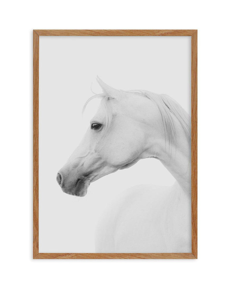 White Horse I Art Print-PRINT-Olive et Oriel-Olive et Oriel-50x70 cm | 19.6" x 27.5"-Walnut-With White Border-Buy-Australian-Art-Prints-Online-with-Olive-et-Oriel-Your-Artwork-Specialists-Austrailia-Decorate-With-Coastal-Photo-Wall-Art-Prints-From-Our-Beach-House-Artwork-Collection-Fine-Poster-and-Framed-Artwork