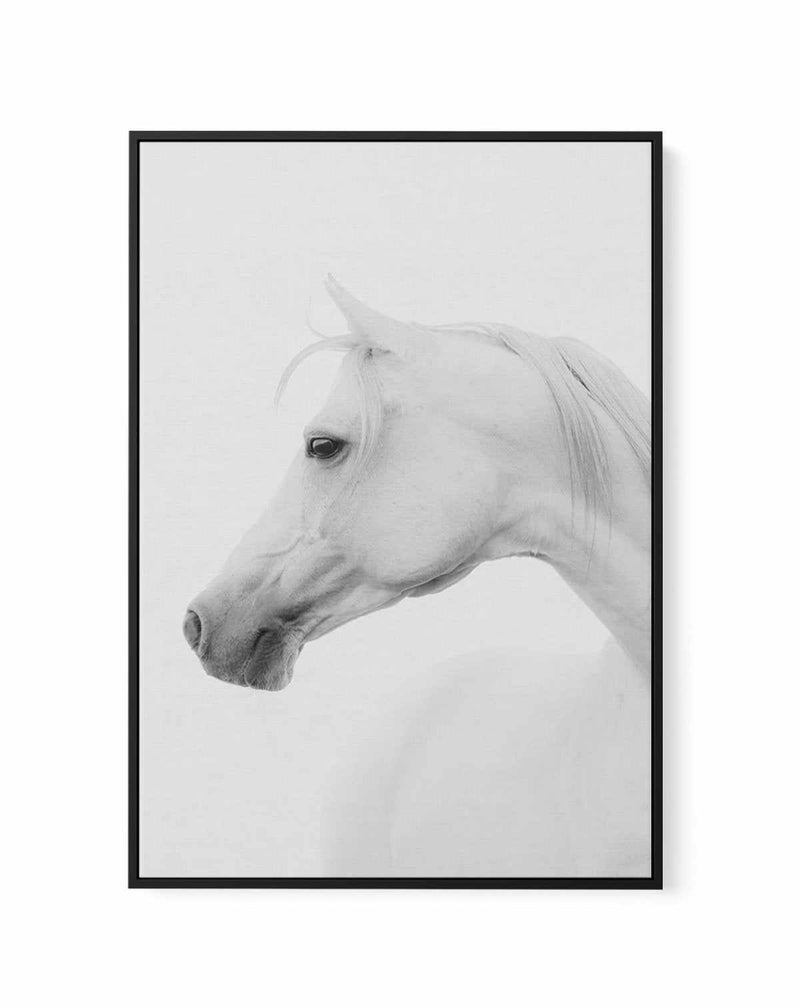 White Horse I | Framed Canvas-CANVAS-You can shop wall art online with Olive et Oriel for everything from abstract art to fun kids wall art. Our beautiful modern art prints and canvas art are available from large canvas prints to wall art paintings and our proudly Australian artwork collection offers only the highest quality framed large wall art and canvas art Australia - You can buy fashion photography prints or Hampton print posters and paintings on canvas from Olive et Oriel and have them de