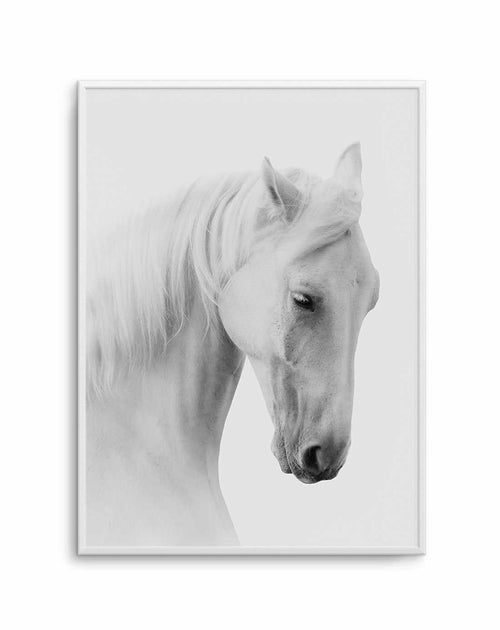 White Horse II Art Print-PRINT-Olive et Oriel-Olive et Oriel-A5 | 5.8" x 8.3" | 14.8 x 21cm-Unframed Art Print-With White Border-Buy-Australian-Art-Prints-Online-with-Olive-et-Oriel-Your-Artwork-Specialists-Austrailia-Decorate-With-Coastal-Photo-Wall-Art-Prints-From-Our-Beach-House-Artwork-Collection-Fine-Poster-and-Framed-Artwork