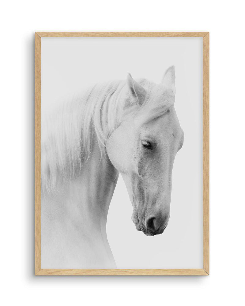 White Horse II Art Print-PRINT-Olive et Oriel-Olive et Oriel-A5 | 5.8" x 8.3" | 14.8 x 21cm-Oak-With White Border-Buy-Australian-Art-Prints-Online-with-Olive-et-Oriel-Your-Artwork-Specialists-Austrailia-Decorate-With-Coastal-Photo-Wall-Art-Prints-From-Our-Beach-House-Artwork-Collection-Fine-Poster-and-Framed-Artwork