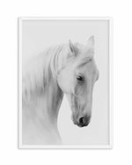 White Horse II Art Print-PRINT-Olive et Oriel-Olive et Oriel-A5 | 5.8" x 8.3" | 14.8 x 21cm-White-With White Border-Buy-Australian-Art-Prints-Online-with-Olive-et-Oriel-Your-Artwork-Specialists-Austrailia-Decorate-With-Coastal-Photo-Wall-Art-Prints-From-Our-Beach-House-Artwork-Collection-Fine-Poster-and-Framed-Artwork