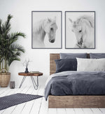 White Horse II Art Print-PRINT-Olive et Oriel-Olive et Oriel-Buy-Australian-Art-Prints-Online-with-Olive-et-Oriel-Your-Artwork-Specialists-Austrailia-Decorate-With-Coastal-Photo-Wall-Art-Prints-From-Our-Beach-House-Artwork-Collection-Fine-Poster-and-Framed-Artwork
