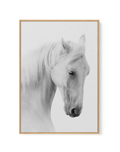 White Horse II | Framed Canvas-CANVAS-You can shop wall art online with Olive et Oriel for everything from abstract art to fun kids wall art. Our beautiful modern art prints and canvas art are available from large canvas prints to wall art paintings and our proudly Australian artwork collection offers only the highest quality framed large wall art and canvas art Australia - You can buy fashion photography prints or Hampton print posters and paintings on canvas from Olive et Oriel and have them d