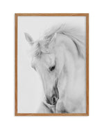White Horse III Art Print-PRINT-Olive et Oriel-Olive et Oriel-50x70 cm | 19.6" x 27.5"-Walnut-With White Border-Buy-Australian-Art-Prints-Online-with-Olive-et-Oriel-Your-Artwork-Specialists-Austrailia-Decorate-With-Coastal-Photo-Wall-Art-Prints-From-Our-Beach-House-Artwork-Collection-Fine-Poster-and-Framed-Artwork