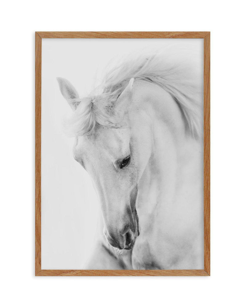 White Horse III Art Print-PRINT-Olive et Oriel-Olive et Oriel-50x70 cm | 19.6" x 27.5"-Walnut-With White Border-Buy-Australian-Art-Prints-Online-with-Olive-et-Oriel-Your-Artwork-Specialists-Austrailia-Decorate-With-Coastal-Photo-Wall-Art-Prints-From-Our-Beach-House-Artwork-Collection-Fine-Poster-and-Framed-Artwork