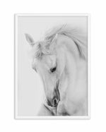 White Horse III Art Print-PRINT-Olive et Oriel-Olive et Oriel-A5 | 5.8" x 8.3" | 14.8 x 21cm-White-With White Border-Buy-Australian-Art-Prints-Online-with-Olive-et-Oriel-Your-Artwork-Specialists-Austrailia-Decorate-With-Coastal-Photo-Wall-Art-Prints-From-Our-Beach-House-Artwork-Collection-Fine-Poster-and-Framed-Artwork