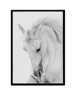 White Horse III Art Print-PRINT-Olive et Oriel-Olive et Oriel-A5 | 5.8" x 8.3" | 14.8 x 21cm-Black-With White Border-Buy-Australian-Art-Prints-Online-with-Olive-et-Oriel-Your-Artwork-Specialists-Austrailia-Decorate-With-Coastal-Photo-Wall-Art-Prints-From-Our-Beach-House-Artwork-Collection-Fine-Poster-and-Framed-Artwork