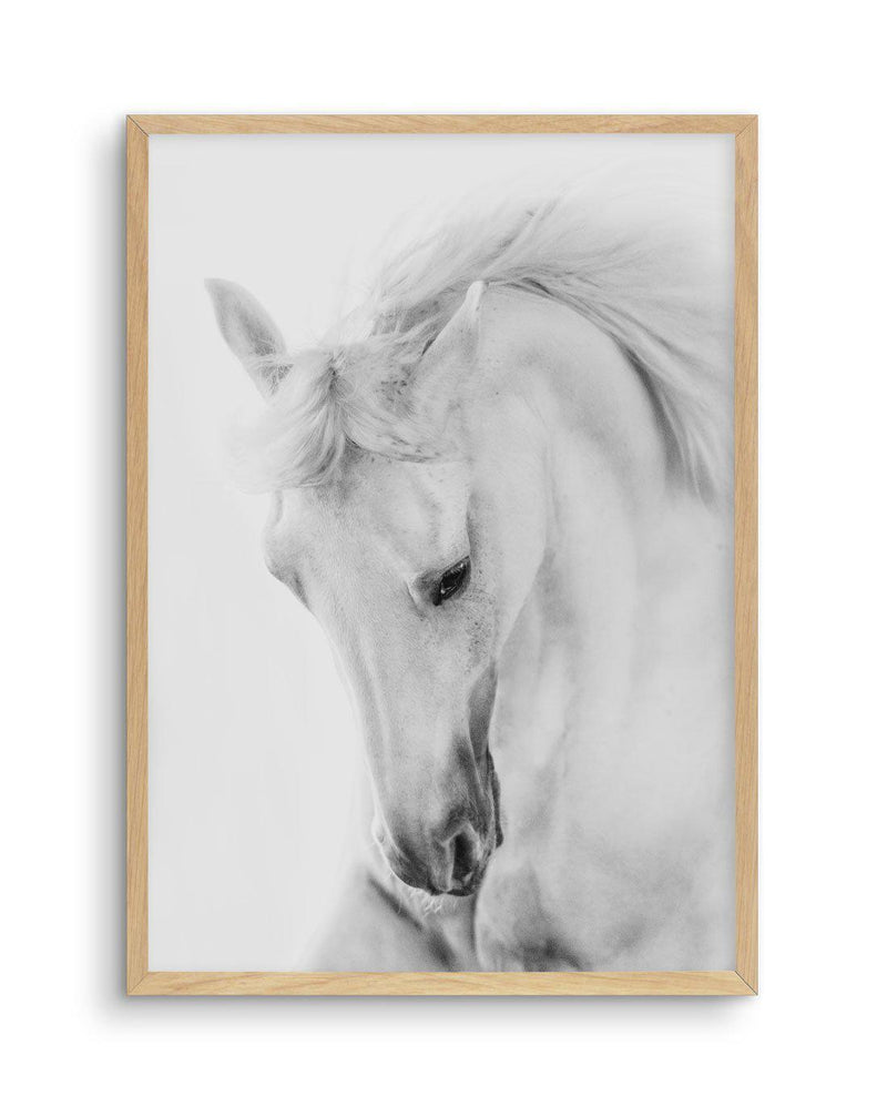 White Horse III Art Print-PRINT-Olive et Oriel-Olive et Oriel-A5 | 5.8" x 8.3" | 14.8 x 21cm-Oak-With White Border-Buy-Australian-Art-Prints-Online-with-Olive-et-Oriel-Your-Artwork-Specialists-Austrailia-Decorate-With-Coastal-Photo-Wall-Art-Prints-From-Our-Beach-House-Artwork-Collection-Fine-Poster-and-Framed-Artwork