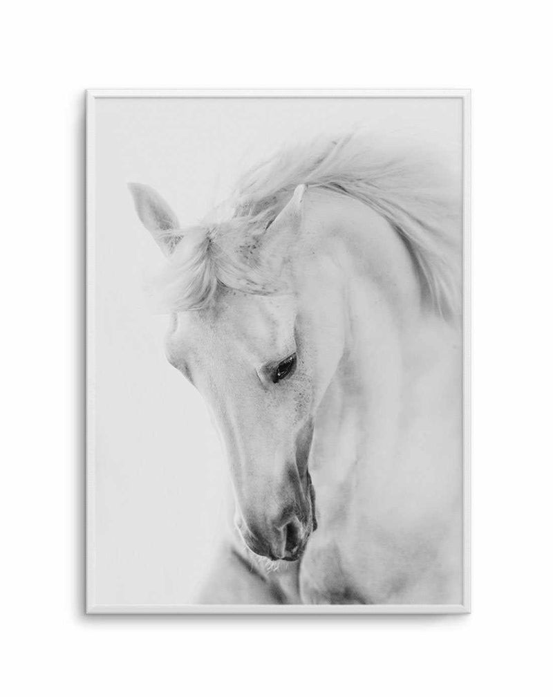 White Horse III Art Print-PRINT-Olive et Oriel-Olive et Oriel-A5 | 5.8" x 8.3" | 14.8 x 21cm-Unframed Art Print-With White Border-Buy-Australian-Art-Prints-Online-with-Olive-et-Oriel-Your-Artwork-Specialists-Austrailia-Decorate-With-Coastal-Photo-Wall-Art-Prints-From-Our-Beach-House-Artwork-Collection-Fine-Poster-and-Framed-Artwork