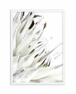 White King Protea Art Print-PRINT-Olive et Oriel-Olive et Oriel-A5 | 5.8" x 8.3" | 14.8 x 21cm-White-With White Border-Buy-Australian-Art-Prints-Online-with-Olive-et-Oriel-Your-Artwork-Specialists-Austrailia-Decorate-With-Coastal-Photo-Wall-Art-Prints-From-Our-Beach-House-Artwork-Collection-Fine-Poster-and-Framed-Artwork