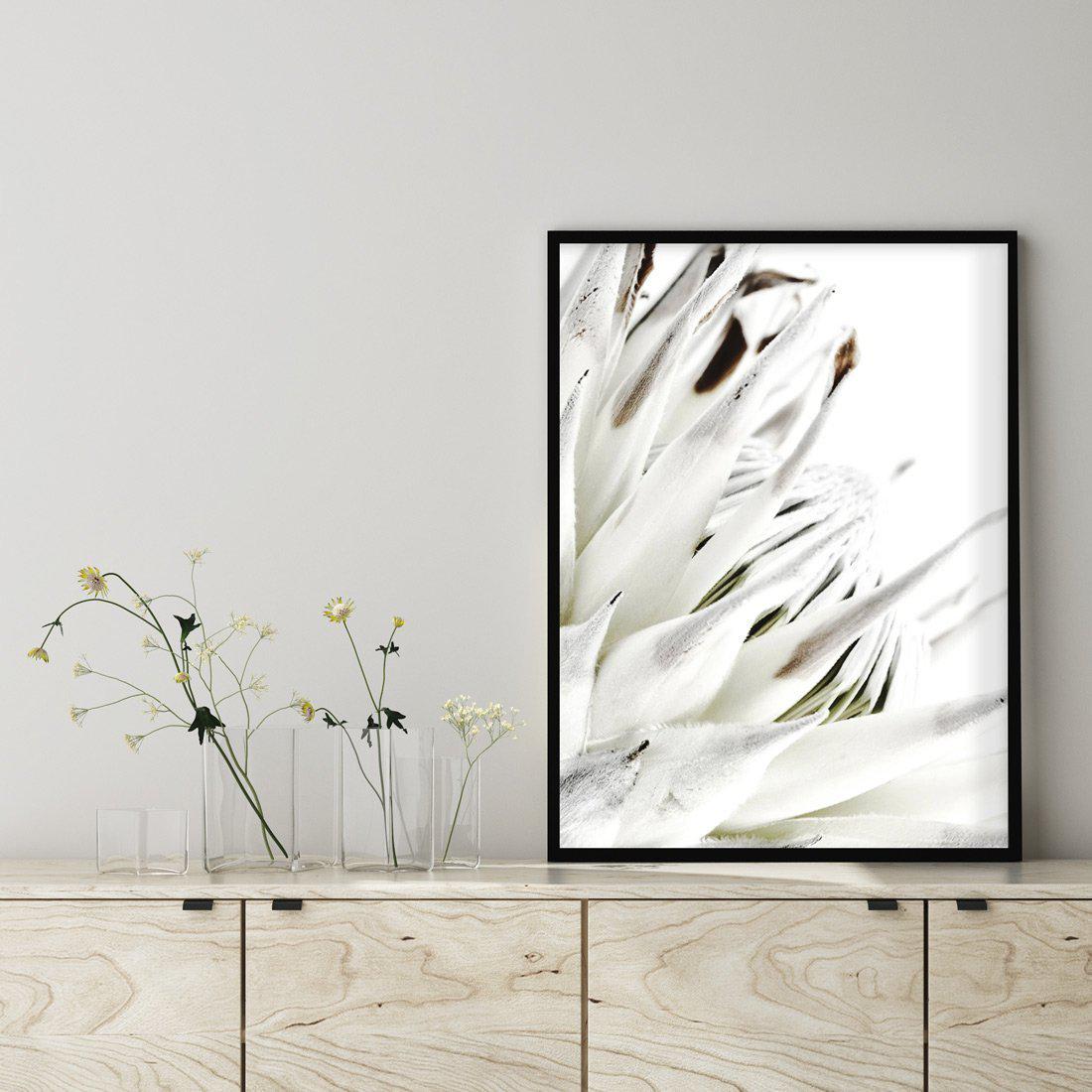 White King Protea Art Print-PRINT-Olive et Oriel-Olive et Oriel-Buy-Australian-Art-Prints-Online-with-Olive-et-Oriel-Your-Artwork-Specialists-Austrailia-Decorate-With-Coastal-Photo-Wall-Art-Prints-From-Our-Beach-House-Artwork-Collection-Fine-Poster-and-Framed-Artwork