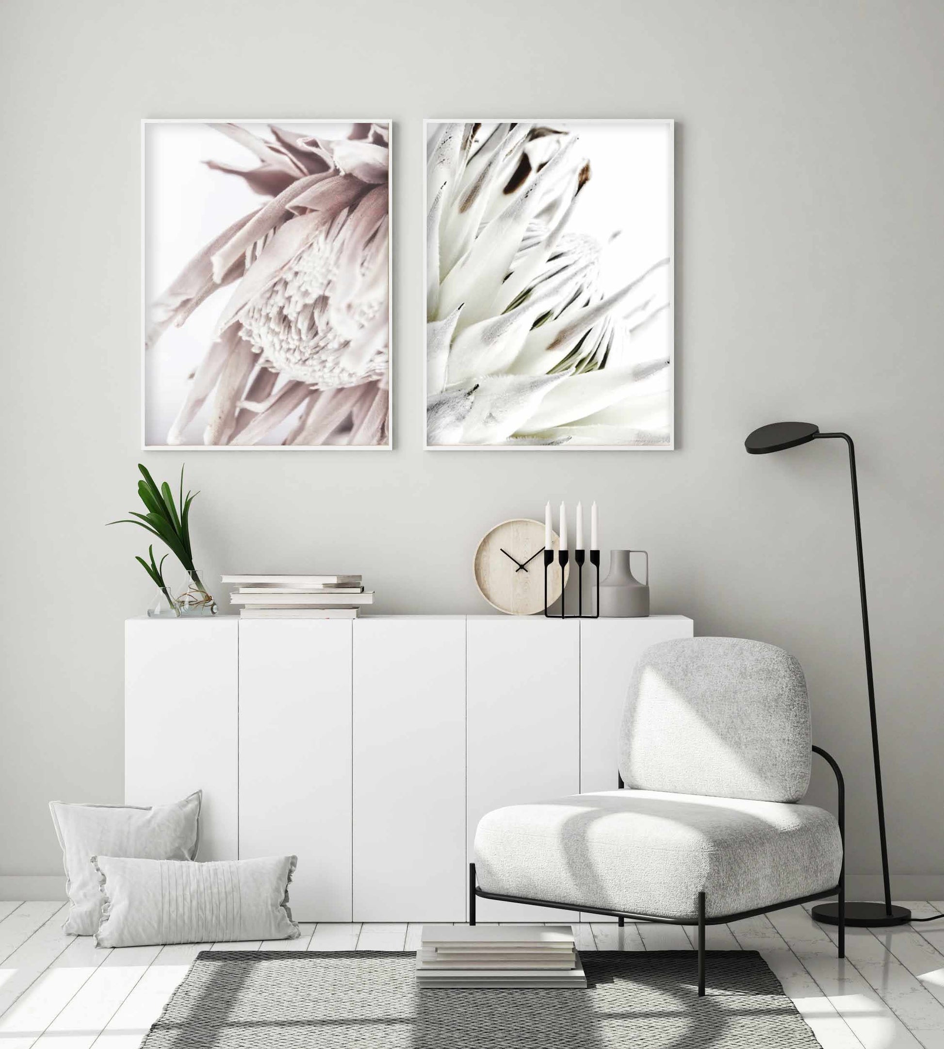 White King Protea Art Print-PRINT-Olive et Oriel-Olive et Oriel-Buy-Australian-Art-Prints-Online-with-Olive-et-Oriel-Your-Artwork-Specialists-Austrailia-Decorate-With-Coastal-Photo-Wall-Art-Prints-From-Our-Beach-House-Artwork-Collection-Fine-Poster-and-Framed-Artwork