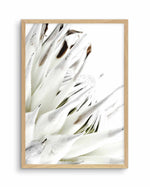 White King Protea Art Print-PRINT-Olive et Oriel-Olive et Oriel-A5 | 5.8" x 8.3" | 14.8 x 21cm-Oak-With White Border-Buy-Australian-Art-Prints-Online-with-Olive-et-Oriel-Your-Artwork-Specialists-Austrailia-Decorate-With-Coastal-Photo-Wall-Art-Prints-From-Our-Beach-House-Artwork-Collection-Fine-Poster-and-Framed-Artwork