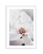 White Magnolia I Art Print-PRINT-Olive et Oriel-Olive et Oriel-A4 | 8.3" x 11.7" | 21 x 29.7cm-White-With White Border-Buy-Australian-Art-Prints-Online-with-Olive-et-Oriel-Your-Artwork-Specialists-Austrailia-Decorate-With-Coastal-Photo-Wall-Art-Prints-From-Our-Beach-House-Artwork-Collection-Fine-Poster-and-Framed-Artwork