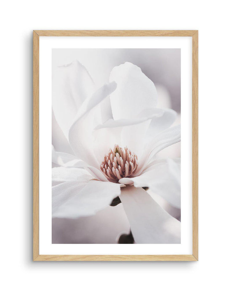 White Magnolia I Art Print-PRINT-Olive et Oriel-Olive et Oriel-A4 | 8.3" x 11.7" | 21 x 29.7cm-Oak-With White Border-Buy-Australian-Art-Prints-Online-with-Olive-et-Oriel-Your-Artwork-Specialists-Austrailia-Decorate-With-Coastal-Photo-Wall-Art-Prints-From-Our-Beach-House-Artwork-Collection-Fine-Poster-and-Framed-Artwork