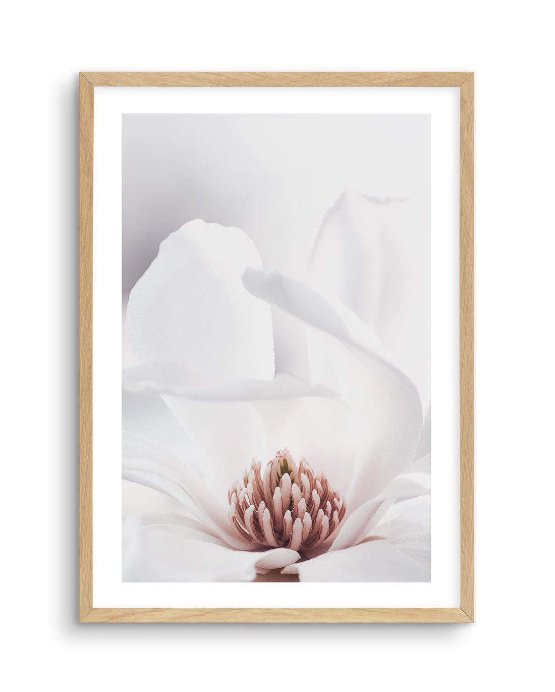 White Magnolia II Art Print-PRINT-Olive et Oriel-Olive et Oriel-A4 | 8.3" x 11.7" | 21 x 29.7cm-Oak-With White Border-Buy-Australian-Art-Prints-Online-with-Olive-et-Oriel-Your-Artwork-Specialists-Austrailia-Decorate-With-Coastal-Photo-Wall-Art-Prints-From-Our-Beach-House-Artwork-Collection-Fine-Poster-and-Framed-Artwork