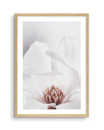 White Magnolia II Art Print-PRINT-Olive et Oriel-Olive et Oriel-A4 | 8.3" x 11.7" | 21 x 29.7cm-Oak-With White Border-Buy-Australian-Art-Prints-Online-with-Olive-et-Oriel-Your-Artwork-Specialists-Austrailia-Decorate-With-Coastal-Photo-Wall-Art-Prints-From-Our-Beach-House-Artwork-Collection-Fine-Poster-and-Framed-Artwork