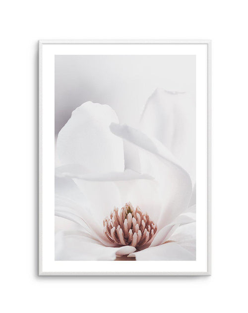 White Magnolia II Art Print-PRINT-Olive et Oriel-Olive et Oriel-A4 | 8.3" x 11.7" | 21 x 29.7cm-Unframed Art Print-With White Border-Buy-Australian-Art-Prints-Online-with-Olive-et-Oriel-Your-Artwork-Specialists-Austrailia-Decorate-With-Coastal-Photo-Wall-Art-Prints-From-Our-Beach-House-Artwork-Collection-Fine-Poster-and-Framed-Artwork