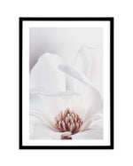 White Magnolia II Art Print-PRINT-Olive et Oriel-Olive et Oriel-A4 | 8.3" x 11.7" | 21 x 29.7cm-Black-With White Border-Buy-Australian-Art-Prints-Online-with-Olive-et-Oriel-Your-Artwork-Specialists-Austrailia-Decorate-With-Coastal-Photo-Wall-Art-Prints-From-Our-Beach-House-Artwork-Collection-Fine-Poster-and-Framed-Artwork