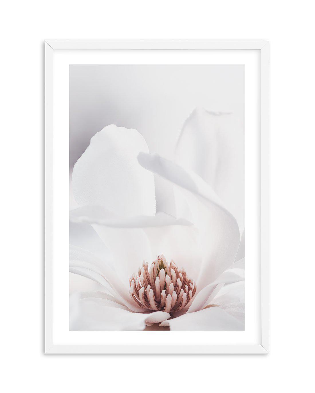 White Magnolia II Art Print-PRINT-Olive et Oriel-Olive et Oriel-A4 | 8.3" x 11.7" | 21 x 29.7cm-White-With White Border-Buy-Australian-Art-Prints-Online-with-Olive-et-Oriel-Your-Artwork-Specialists-Austrailia-Decorate-With-Coastal-Photo-Wall-Art-Prints-From-Our-Beach-House-Artwork-Collection-Fine-Poster-and-Framed-Artwork