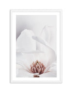White Magnolia II Art Print-PRINT-Olive et Oriel-Olive et Oriel-A4 | 8.3" x 11.7" | 21 x 29.7cm-White-With White Border-Buy-Australian-Art-Prints-Online-with-Olive-et-Oriel-Your-Artwork-Specialists-Austrailia-Decorate-With-Coastal-Photo-Wall-Art-Prints-From-Our-Beach-House-Artwork-Collection-Fine-Poster-and-Framed-Artwork