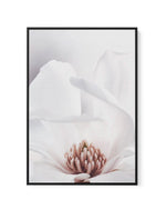 White Magnolia II | Framed Canvas-CANVAS-You can shop wall art online with Olive et Oriel for everything from abstract art to fun kids wall art. Our beautiful modern art prints and canvas art are available from large canvas prints to wall art paintings and our proudly Australian artwork collection offers only the highest quality framed large wall art and canvas art Australia - You can buy fashion photography prints or Hampton print posters and paintings on canvas from Olive et Oriel and have the