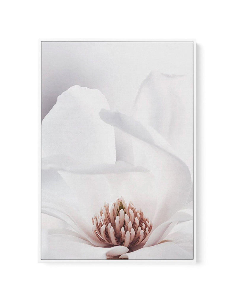 White Magnolia II | Framed Canvas-CANVAS-You can shop wall art online with Olive et Oriel for everything from abstract art to fun kids wall art. Our beautiful modern art prints and canvas art are available from large canvas prints to wall art paintings and our proudly Australian artwork collection offers only the highest quality framed large wall art and canvas art Australia - You can buy fashion photography prints or Hampton print posters and paintings on canvas from Olive et Oriel and have the