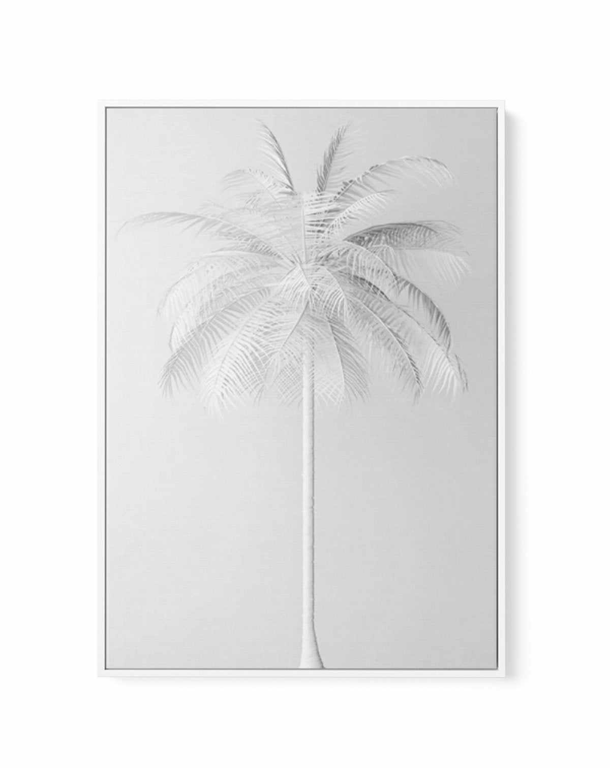 White Palm on Grey | Framed Canvas-CANVAS-You can shop wall art online with Olive et Oriel for everything from abstract art to fun kids wall art. Our beautiful modern art prints and canvas art are available from large canvas prints to wall art paintings and our proudly Australian artwork collection offers only the highest quality framed large wall art and canvas art Australia - You can buy fashion photography prints or Hampton print posters and paintings on canvas from Olive et Oriel and have th