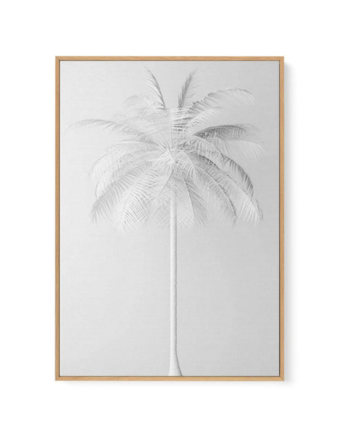 White Palm on Grey | Framed Canvas-CANVAS-You can shop wall art online with Olive et Oriel for everything from abstract art to fun kids wall art. Our beautiful modern art prints and canvas art are available from large canvas prints to wall art paintings and our proudly Australian artwork collection offers only the highest quality framed large wall art and canvas art Australia - You can buy fashion photography prints or Hampton print posters and paintings on canvas from Olive et Oriel and have th