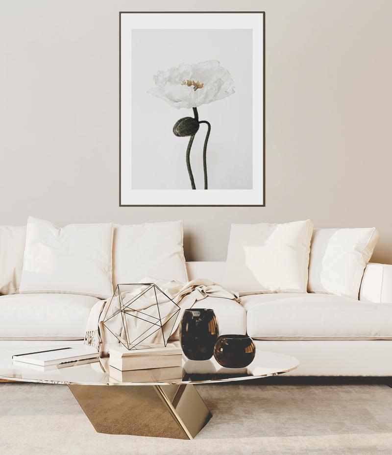 White Poppy I Art Print-PRINT-Olive et Oriel-Olive et Oriel-Buy-Australian-Art-Prints-Online-with-Olive-et-Oriel-Your-Artwork-Specialists-Austrailia-Decorate-With-Coastal-Photo-Wall-Art-Prints-From-Our-Beach-House-Artwork-Collection-Fine-Poster-and-Framed-Artwork