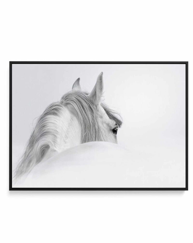White Spirit | Framed Canvas-CANVAS-You can shop wall art online with Olive et Oriel for everything from abstract art to fun kids wall art. Our beautiful modern art prints and canvas art are available from large canvas prints to wall art paintings and our proudly Australian artwork collection offers only the highest quality framed large wall art and canvas art Australia - You can buy fashion photography prints or Hampton print posters and paintings on canvas from Olive et Oriel and have them del