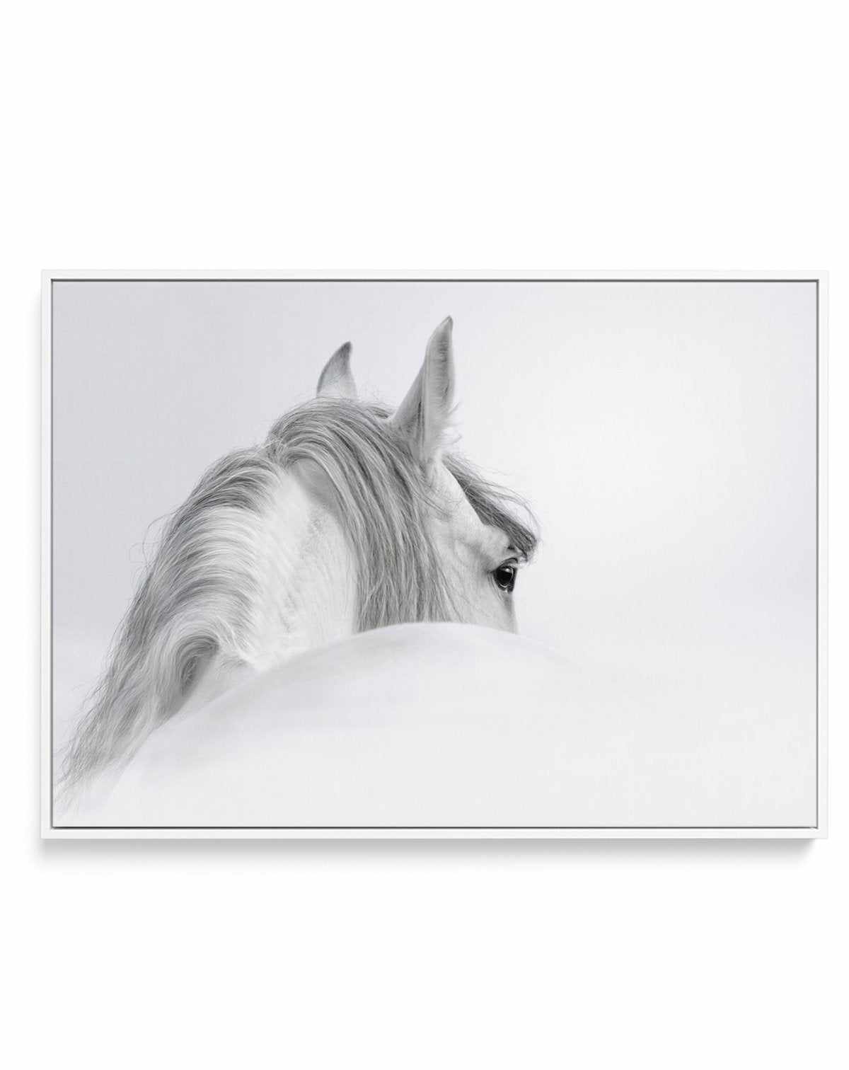 White Spirit | Framed Canvas-CANVAS-You can shop wall art online with Olive et Oriel for everything from abstract art to fun kids wall art. Our beautiful modern art prints and canvas art are available from large canvas prints to wall art paintings and our proudly Australian artwork collection offers only the highest quality framed large wall art and canvas art Australia - You can buy fashion photography prints or Hampton print posters and paintings on canvas from Olive et Oriel and have them del