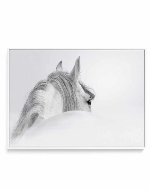 White Spirit | Framed Canvas-CANVAS-You can shop wall art online with Olive et Oriel for everything from abstract art to fun kids wall art. Our beautiful modern art prints and canvas art are available from large canvas prints to wall art paintings and our proudly Australian artwork collection offers only the highest quality framed large wall art and canvas art Australia - You can buy fashion photography prints or Hampton print posters and paintings on canvas from Olive et Oriel and have them del