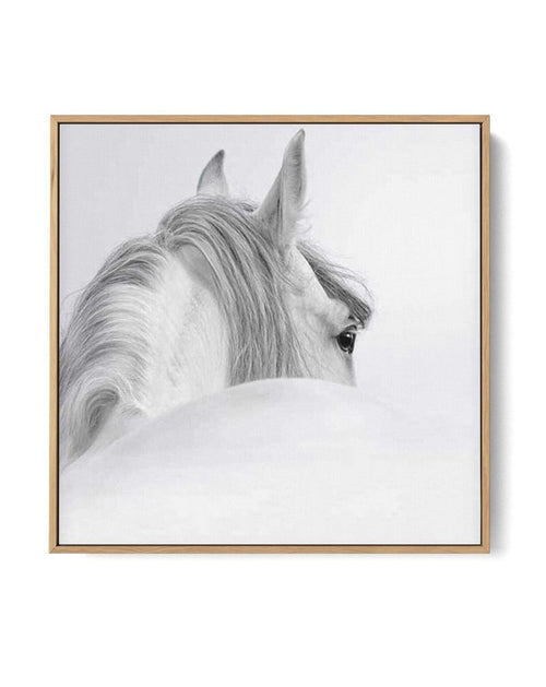 White Spirit SQ | Framed Canvas-CANVAS-You can shop wall art online with Olive et Oriel for everything from abstract art to fun kids wall art. Our beautiful modern art prints and canvas art are available from large canvas prints to wall art paintings and our proudly Australian artwork collection offers only the highest quality framed large wall art and canvas art Australia - You can buy fashion photography prints or Hampton print posters and paintings on canvas from Olive et Oriel and have them 