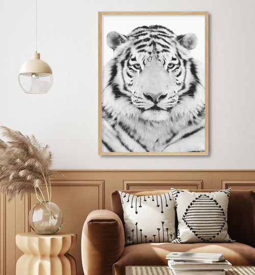 White Tiger Art Print-PRINT-Olive et Oriel-Olive et Oriel-Buy-Australian-Art-Prints-Online-with-Olive-et-Oriel-Your-Artwork-Specialists-Austrailia-Decorate-With-Coastal-Photo-Wall-Art-Prints-From-Our-Beach-House-Artwork-Collection-Fine-Poster-and-Framed-Artwork