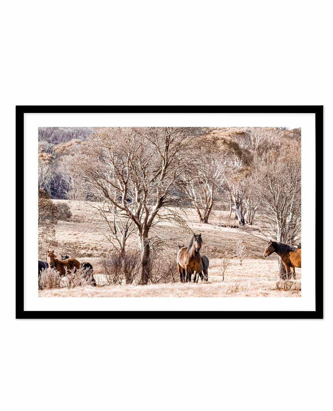 Wild Brumbies | Protector Art Print-PRINT-Olive et Oriel-Olive et Oriel-A5 | 5.8" x 8.3" | 14.8 x 21cm-Black-With White Border-Buy-Australian-Art-Prints-Online-with-Olive-et-Oriel-Your-Artwork-Specialists-Austrailia-Decorate-With-Coastal-Photo-Wall-Art-Prints-From-Our-Beach-House-Artwork-Collection-Fine-Poster-and-Framed-Artwork