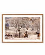 Wild Brumbies | Protector Art Print-PRINT-Olive et Oriel-Olive et Oriel-50x70 cm | 19.6" x 27.5"-Walnut-With White Border-Buy-Australian-Art-Prints-Online-with-Olive-et-Oriel-Your-Artwork-Specialists-Austrailia-Decorate-With-Coastal-Photo-Wall-Art-Prints-From-Our-Beach-House-Artwork-Collection-Fine-Poster-and-Framed-Artwork